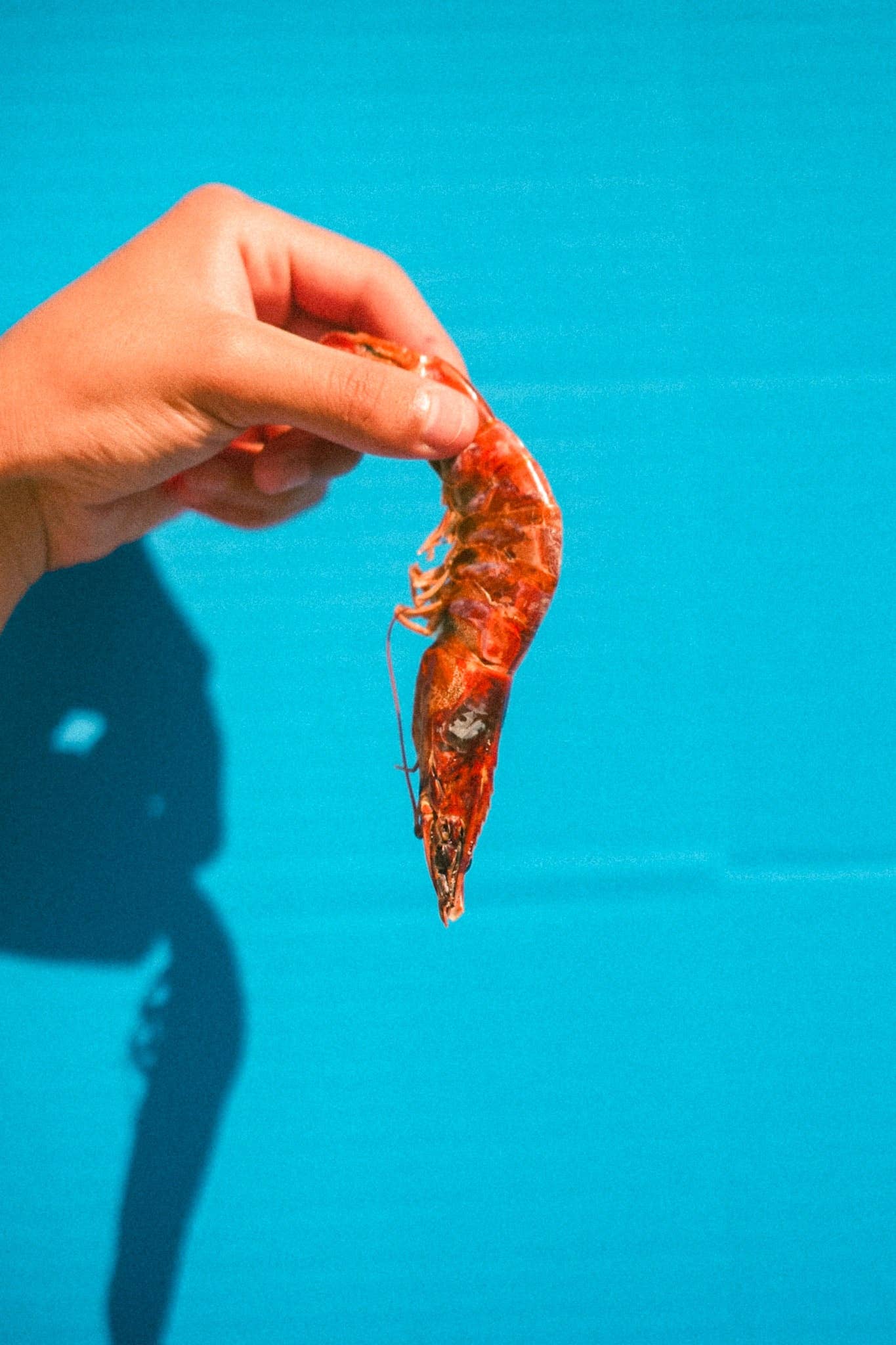 Wulf Snacks - King Prawns