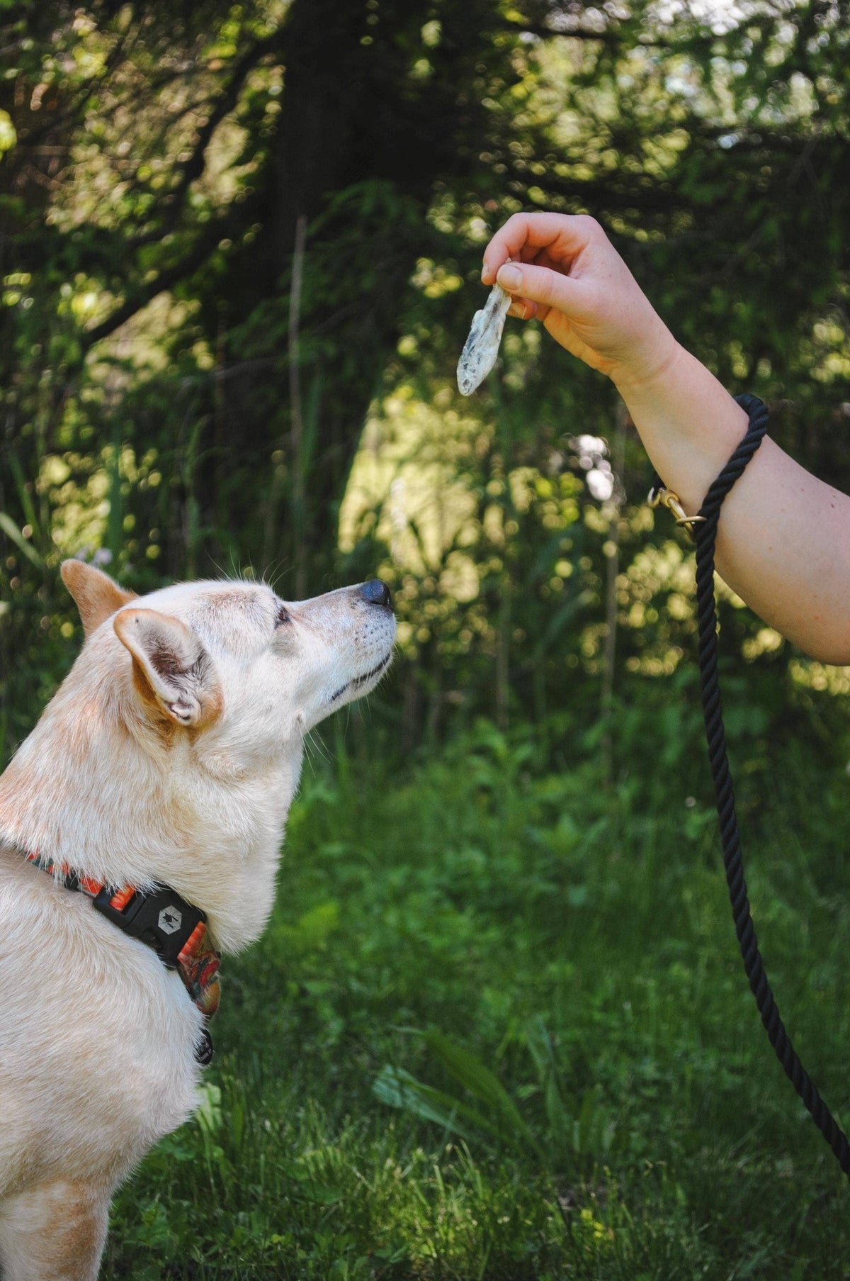 Happy Trout Pet Treats - Little Trout