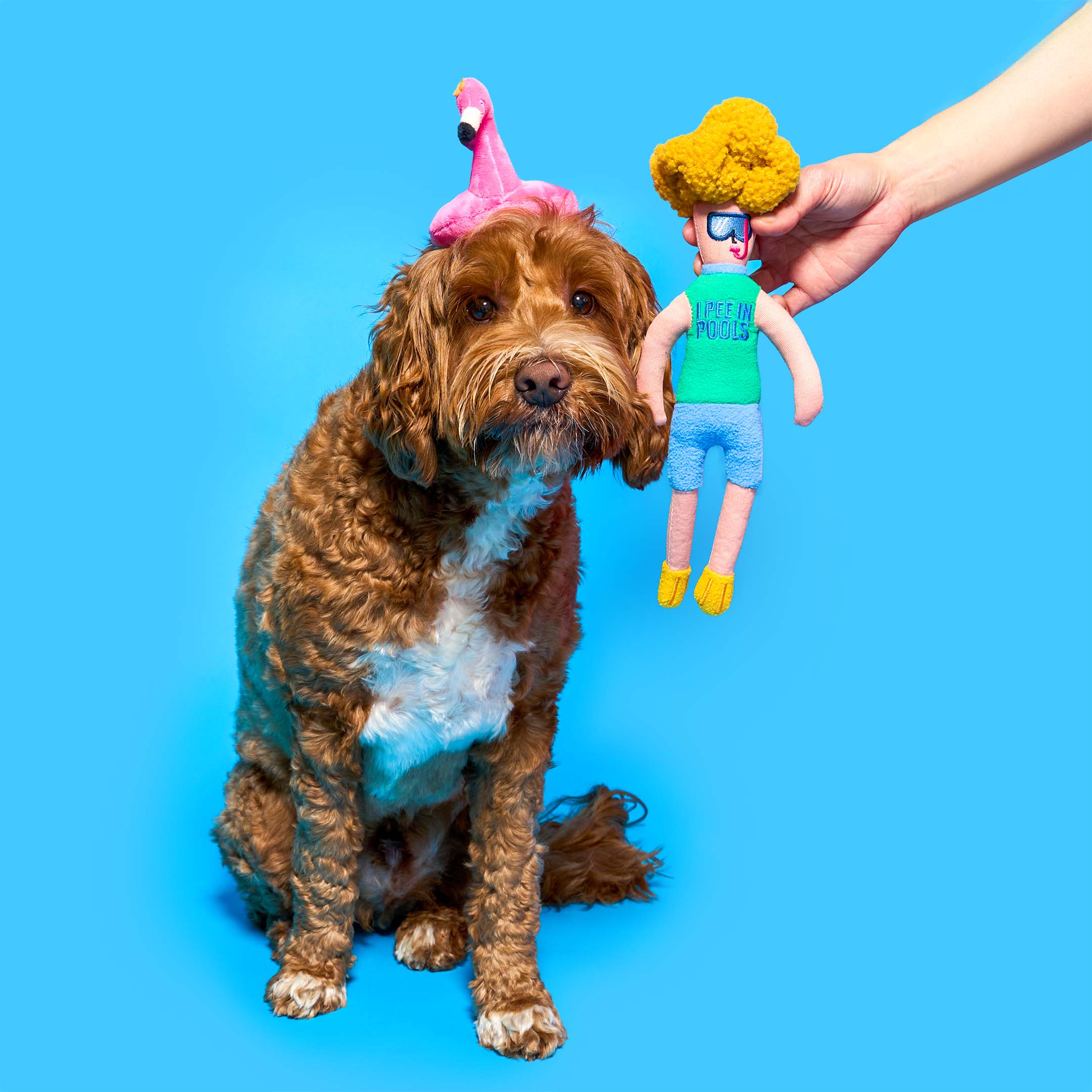 the furryfolks - Flamingo Hooman Nosework Toy