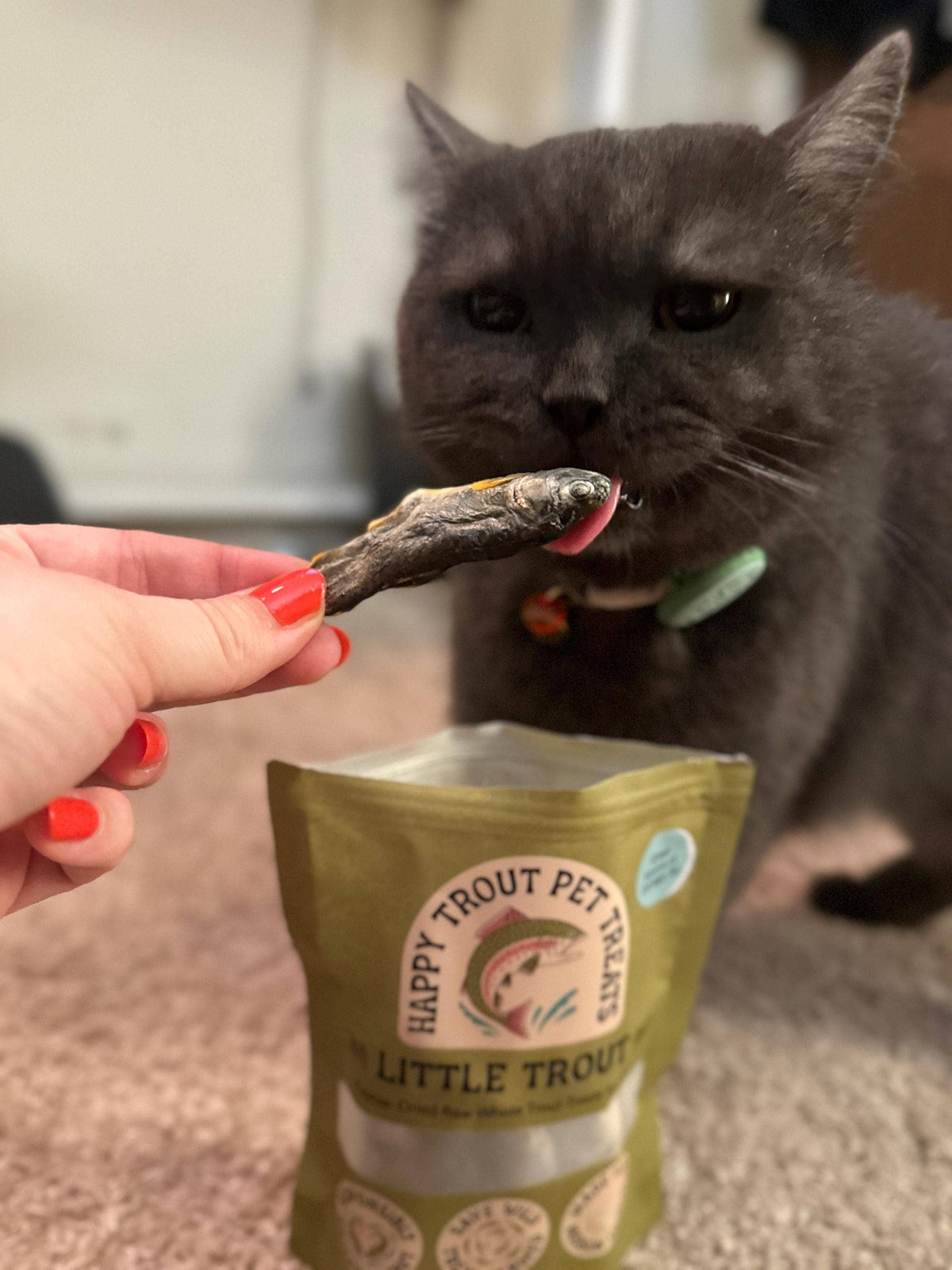 Happy Trout Pet Treats - Little Trout