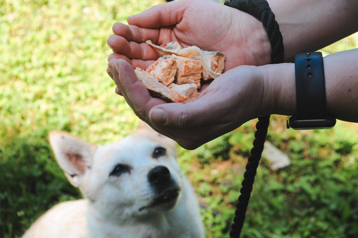Happy Trout Pet Treats - Trout Tidbits