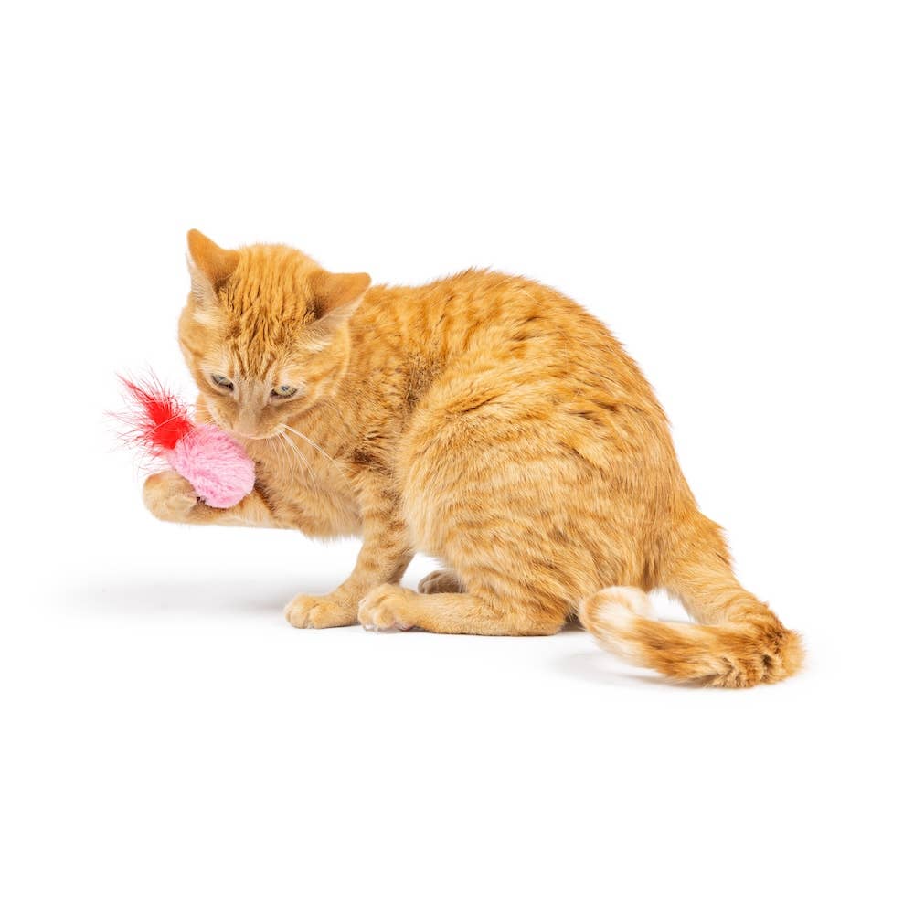 Huxley & Kent - Love Bugs 2pk Cat Toy: One Size