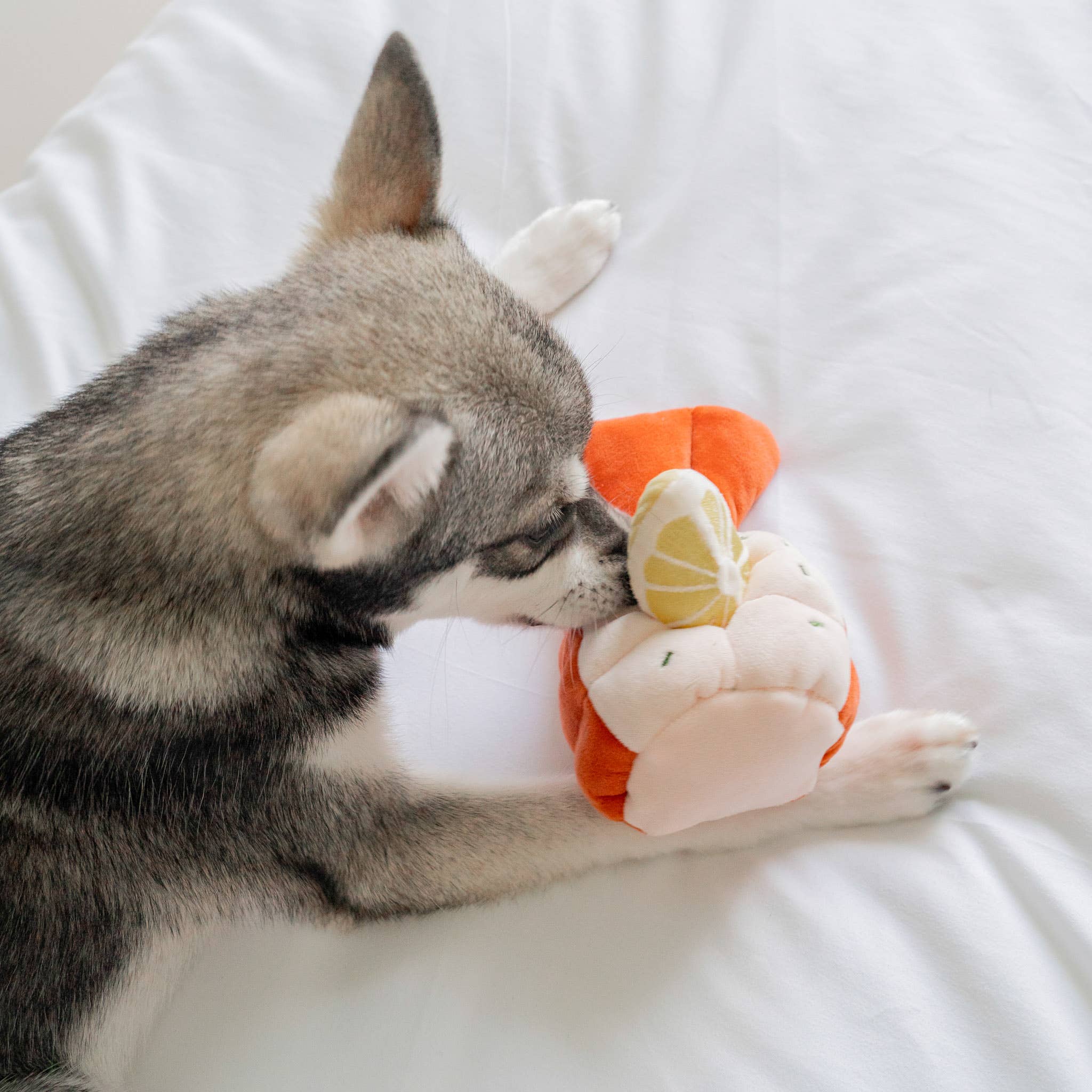 Pups & Bubs- Grilled Lobster Nosework Toy