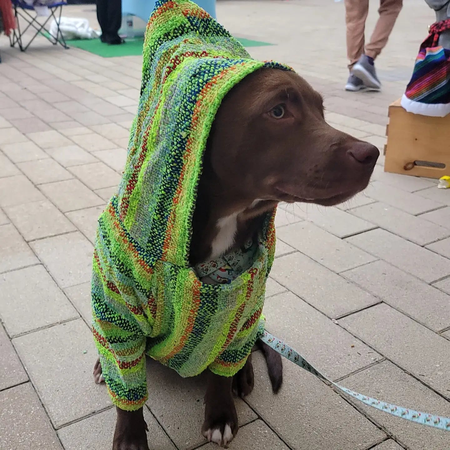 Mom And Pup Co. - Baja Dog Poncho - Mexican Dog Hoodie, Boho Dog Sweater: Small
