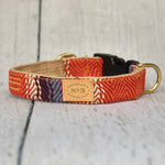 Finnegan’s Standard Goods - 1 inch Tulum Collar: S (15 - 25 lbs)