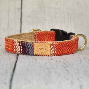 Finnegan’s Standard Goods - 1 inch Tulum Collar: M (25 -63 lbs)