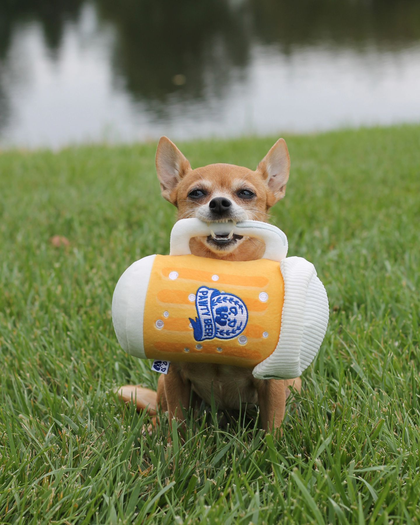 PAWTY Dog Toys - PAWTY Beer