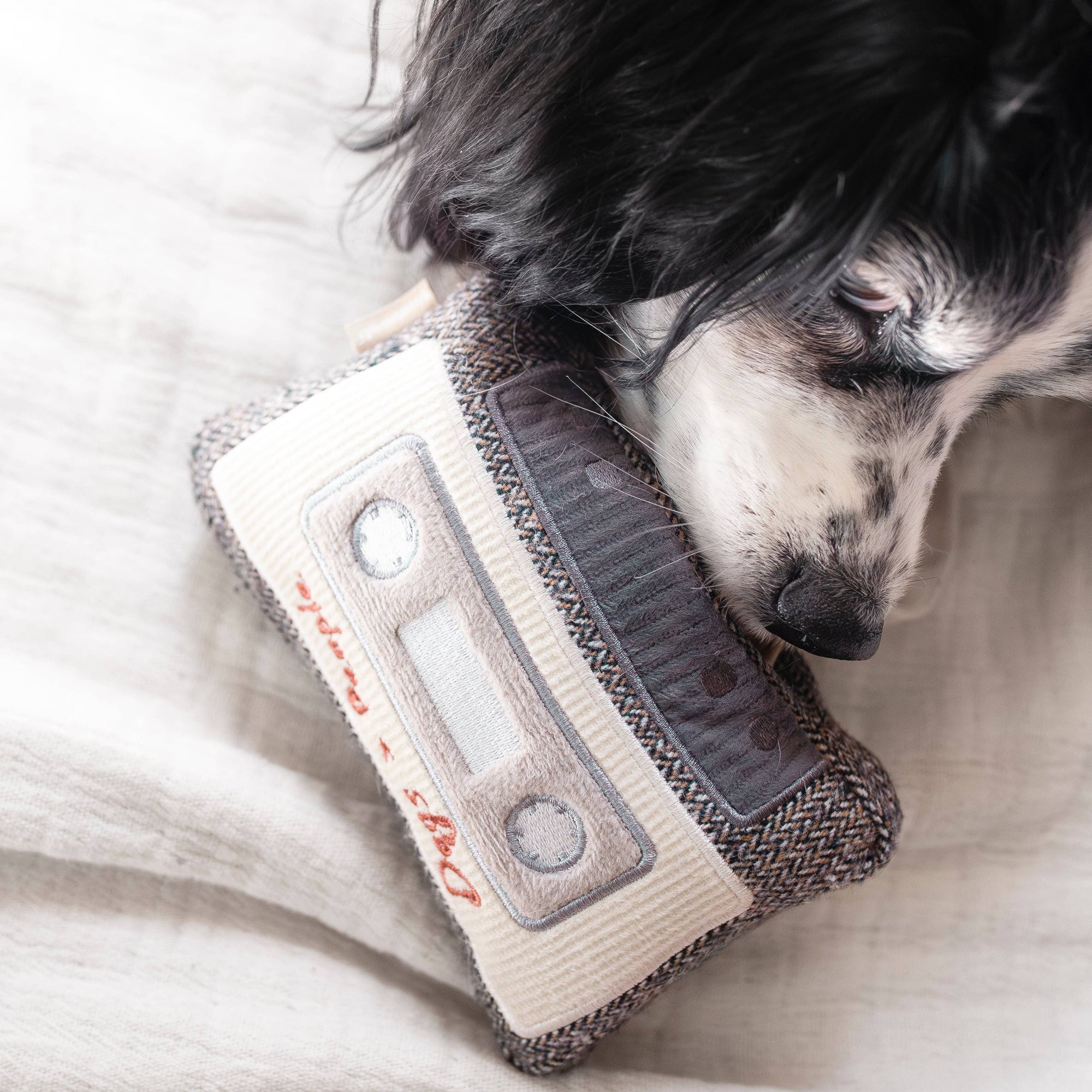 Lambwolf Collective - CASSETTE // ENRICHMENT DOG TOY