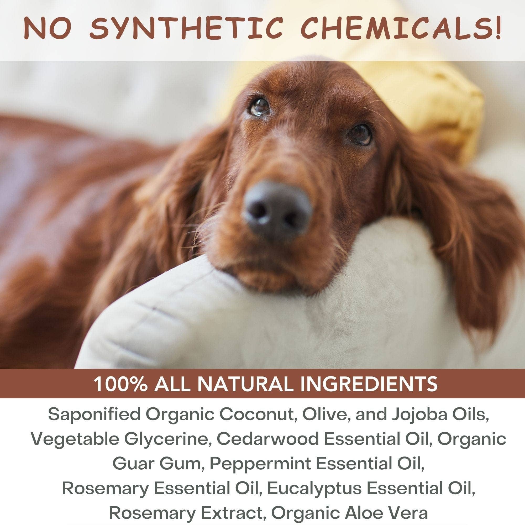 4-Legger - Natural Cedar Dog Shampoo and Conditioner with Peppermint & Eucalyptus: 16 oz