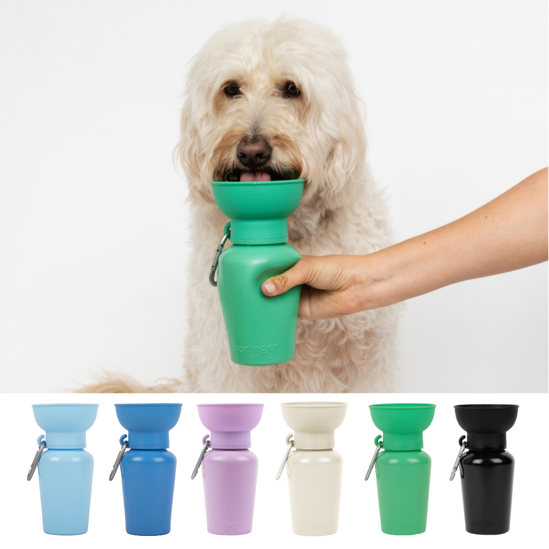 Springer Pets - Dog Travel Water Bottle, 20oz, Flip Silicone (12 Pack): Mixed (12 Pack)