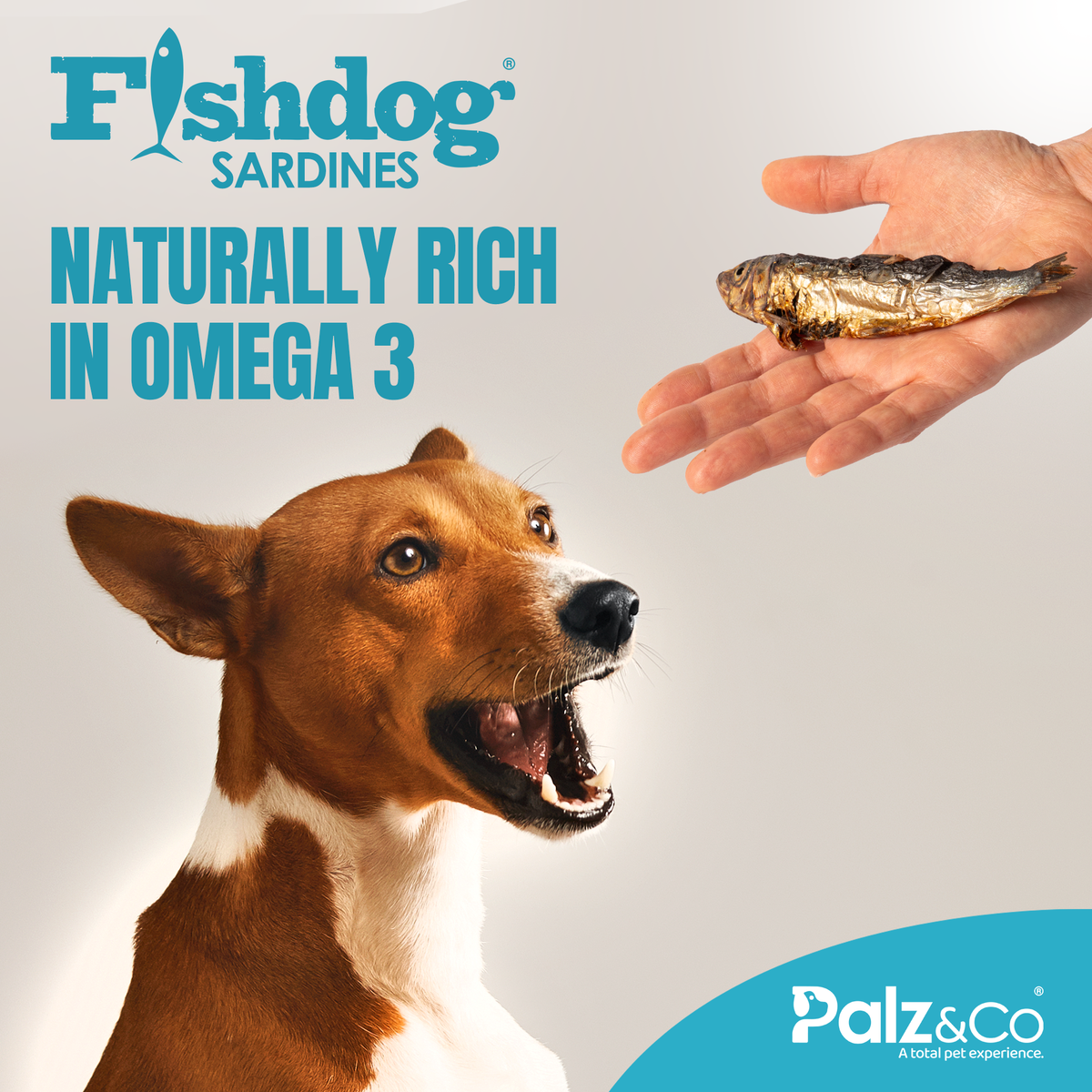 Palz&Co | Fishdog Sardines (2.5oz)