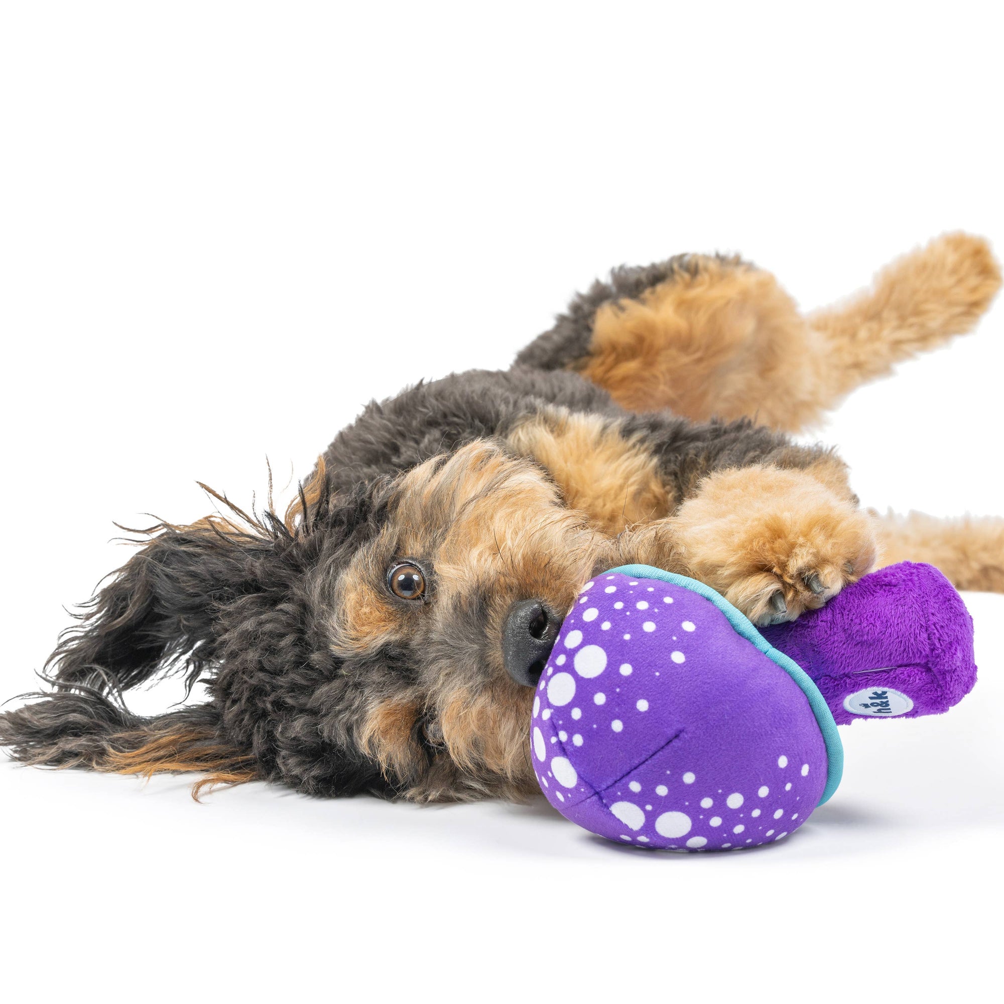 Huxley & Kent - Fetchies® Mellow Mushroom Dog Toy: Large
