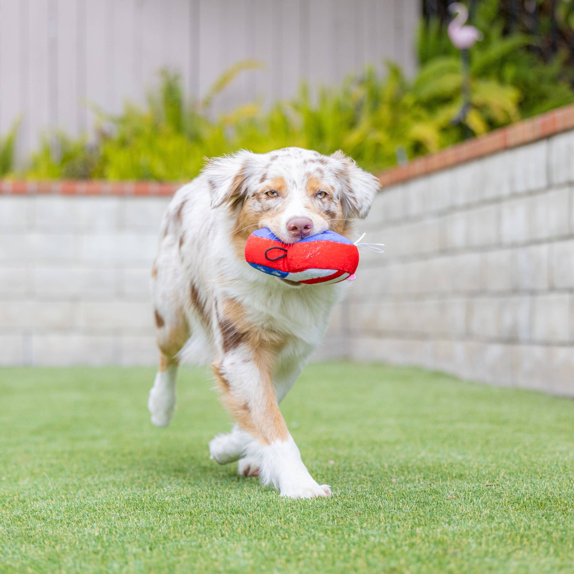 Huxley & Kent - Paws & Stripes Heart Dog Toy