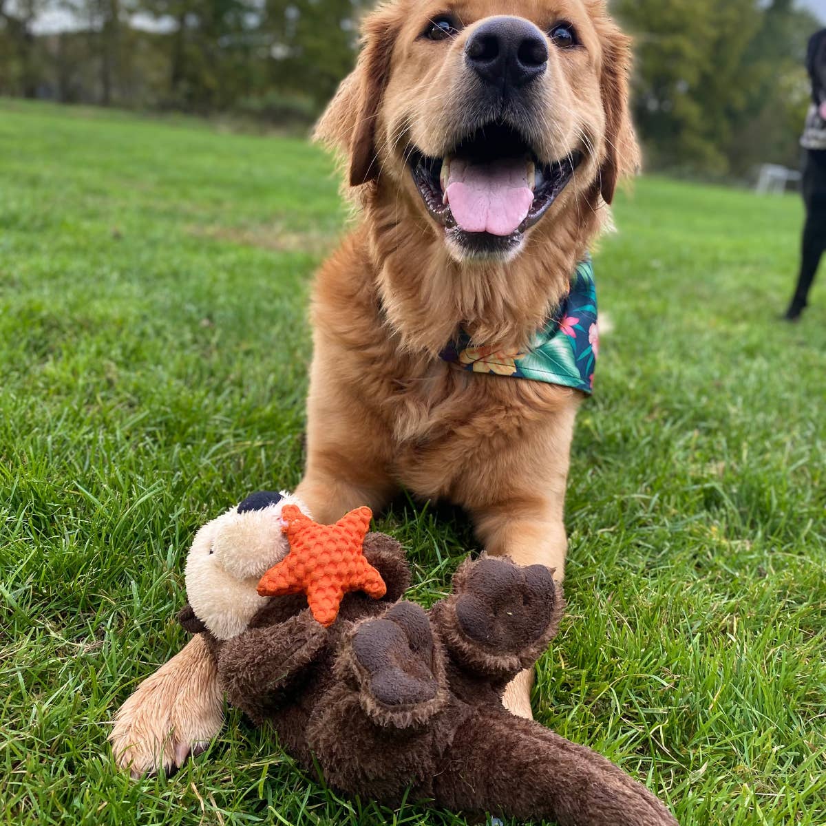 Tall Tails | Otter Rope Body Dog Toy
