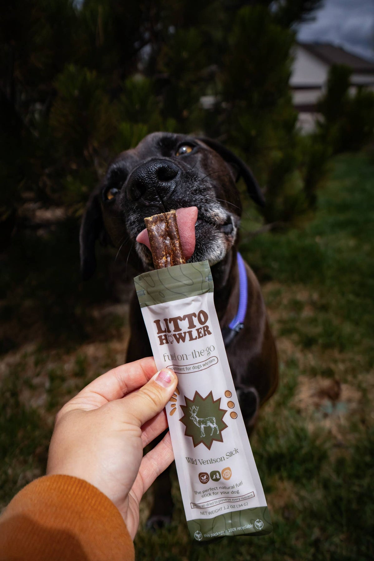 Litto Howler | Wild Venison Stick