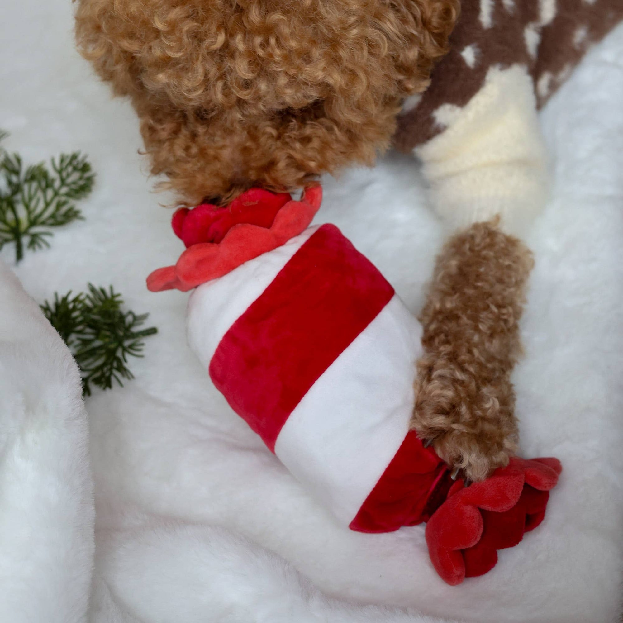 Pups & Bubs - Peppermint Candy Nosework Toy