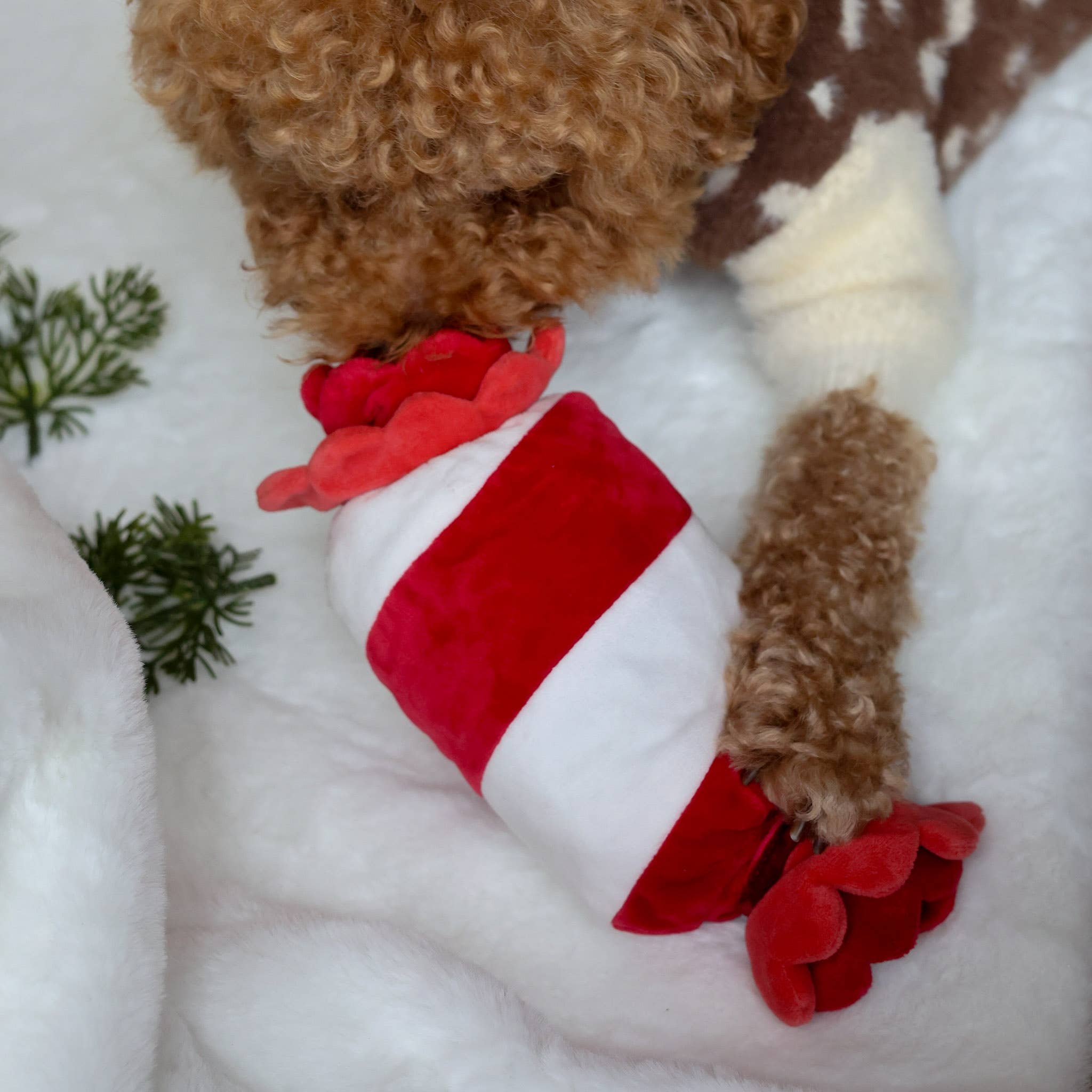 Pups & Bubs - Peppermint Candy Nosework Toy