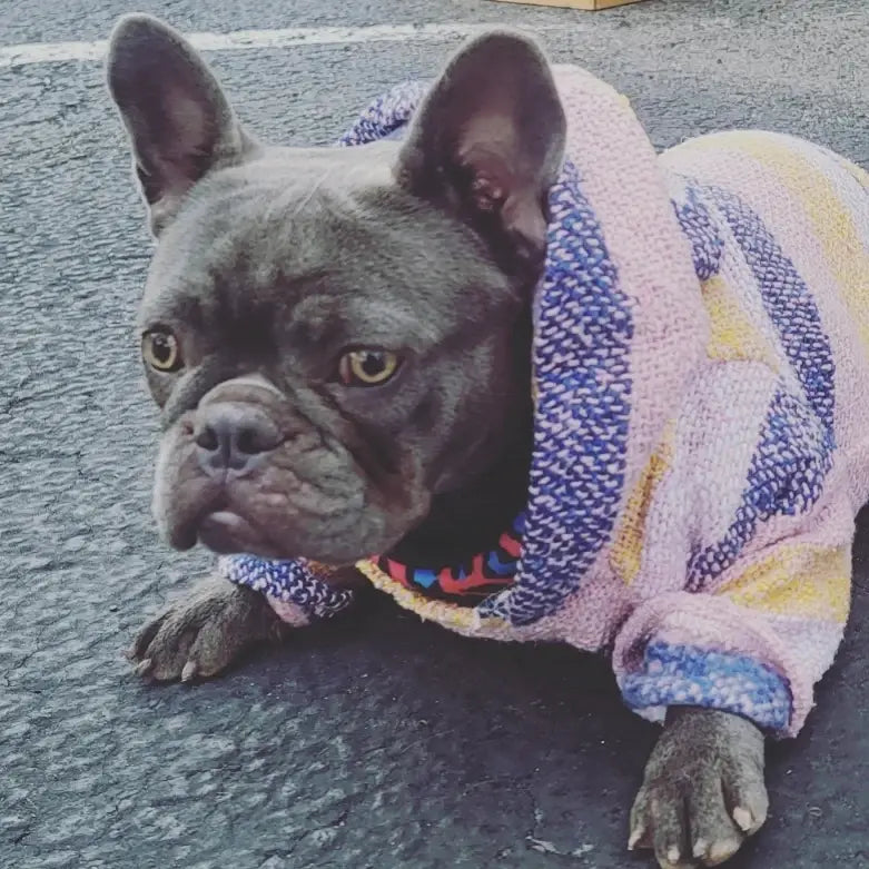 Mom And Pup Co. - Baja Dog Poncho - Mexican Dog Hoodie, Boho Dog Sweater: Small