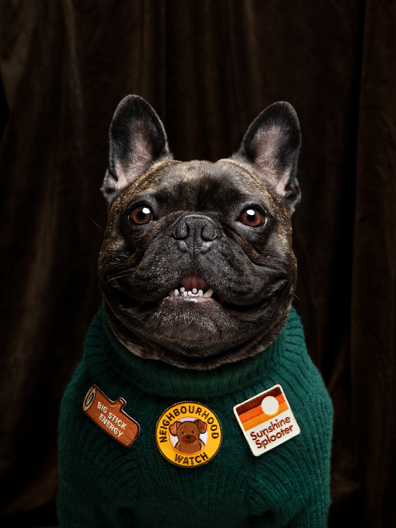 Scout's Honour Pty Ltd - Big Stick Energy iron-on patch for pets