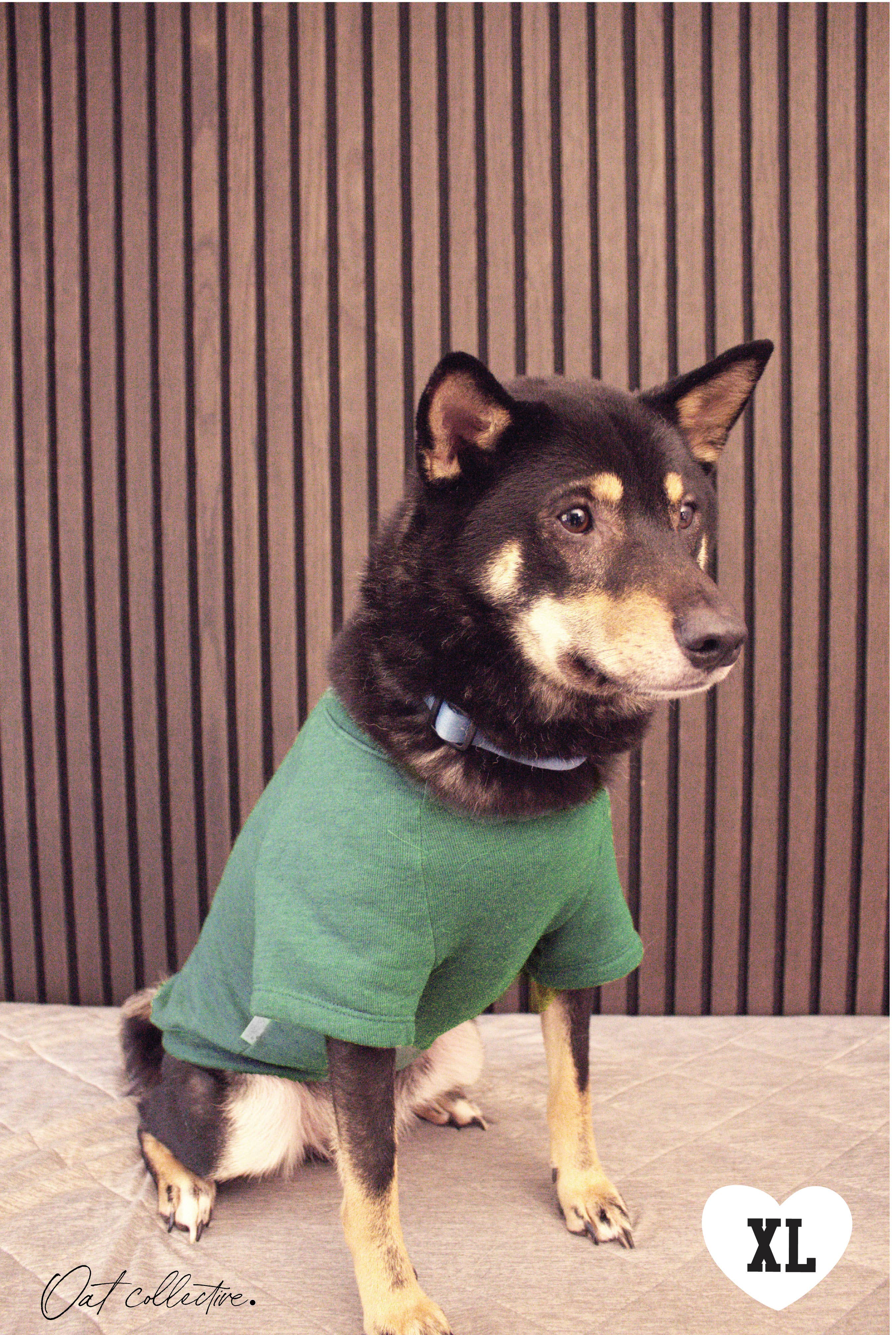 OAT COLLECTIVE - MERRY WOOFMAS Pet Graphic Sweatshirt : HEATHER FOREST / XL