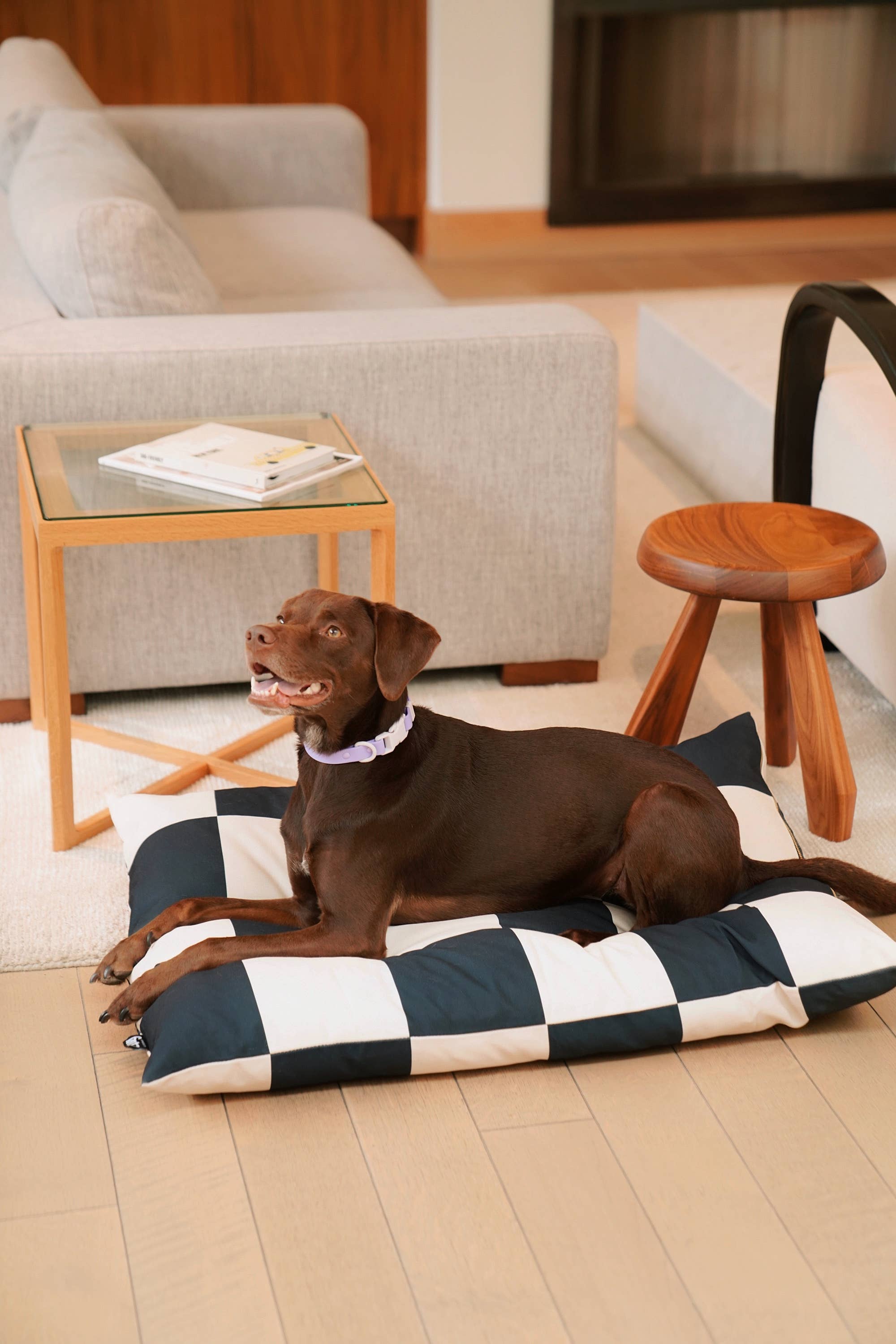 Approved by Fritz - USA - The Fritz Dog Bed | Recycled | Machine Washable: Checkered / Grande