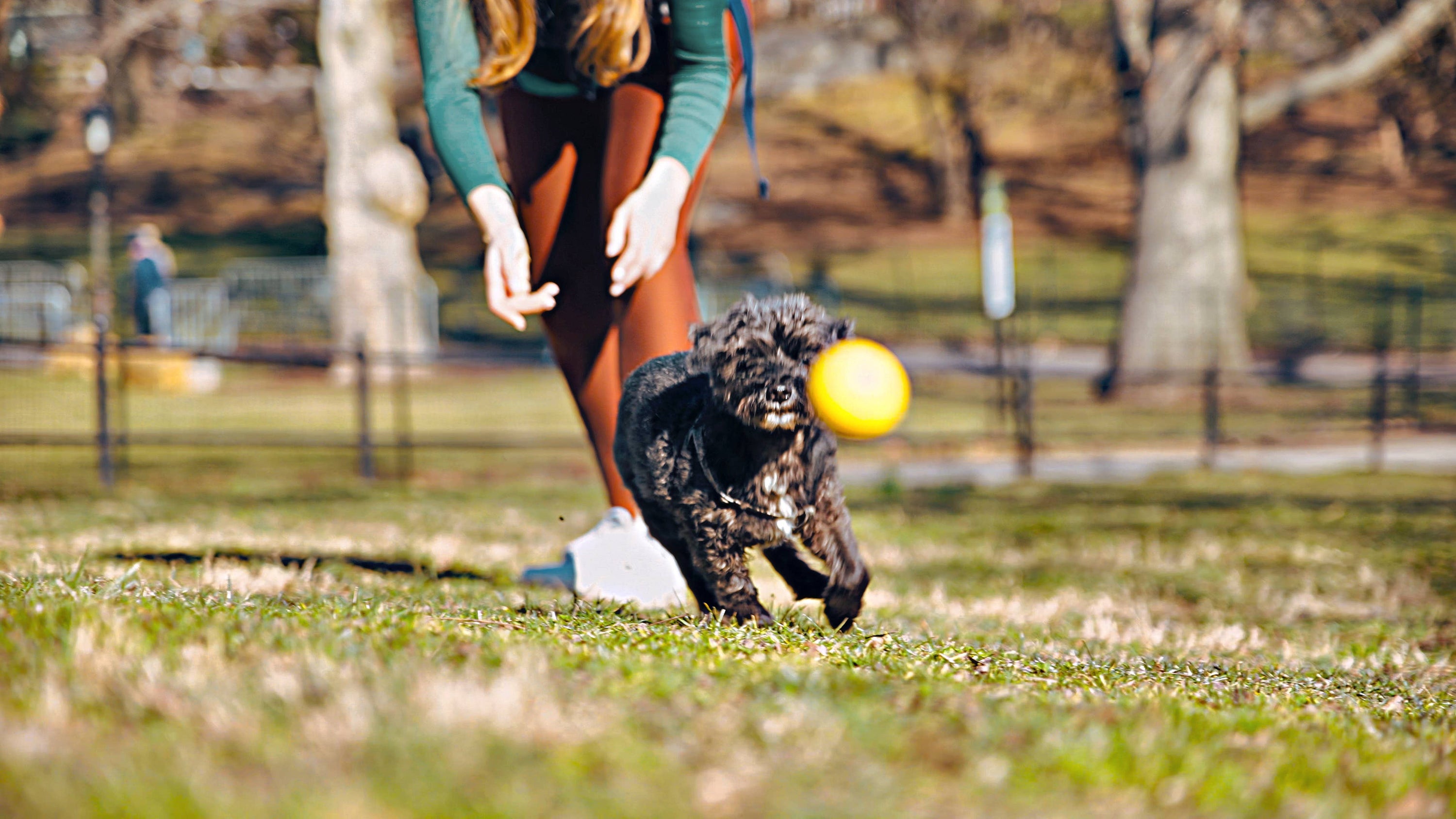 Tall Tails - Tall Tails GOAT Sport Balls, 2-Pack- Small