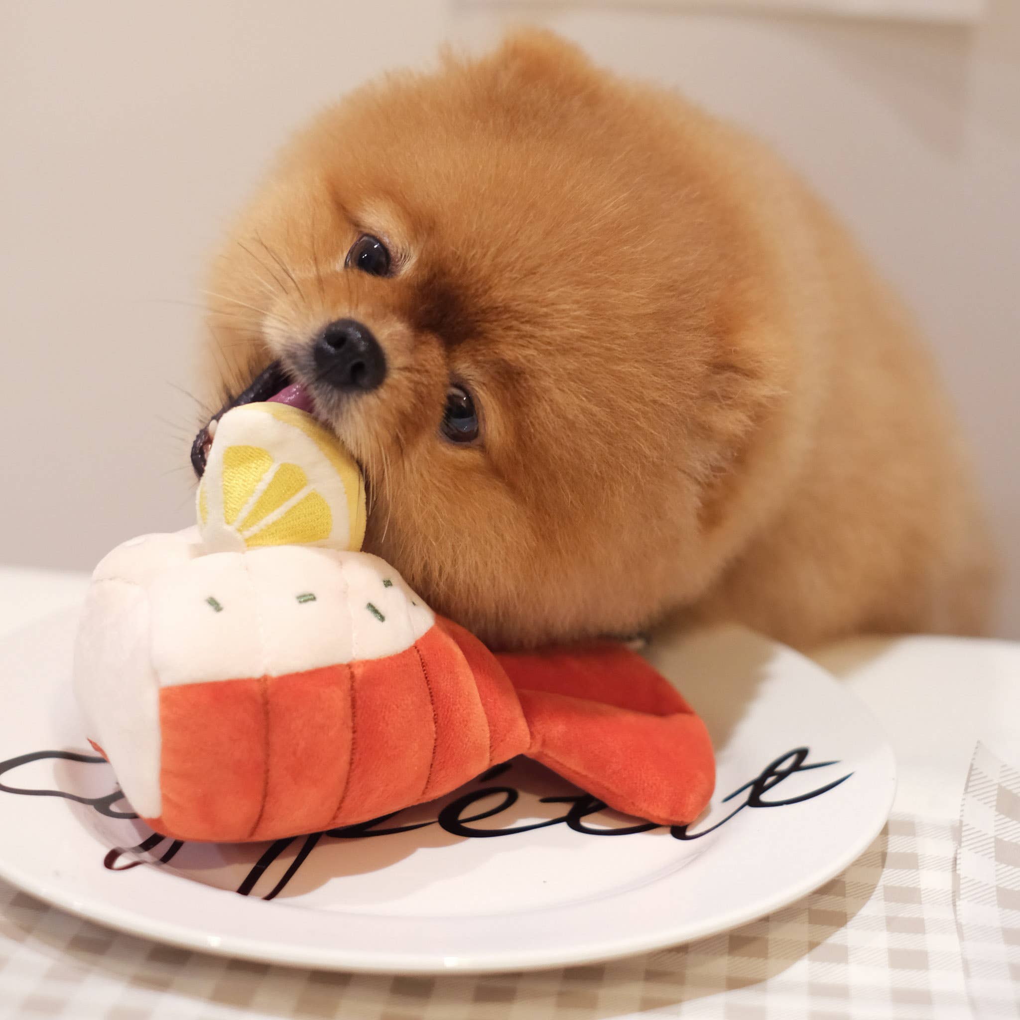 Pups & Bubs- Grilled Lobster Nosework Toy