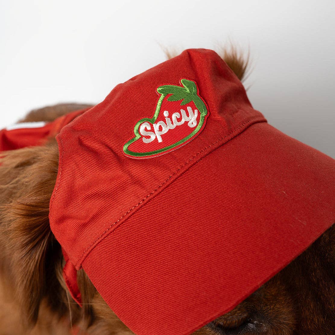 Besties Pets - Spicy Pepper | Iron-On Patches For Dogs and Cats: Yes
