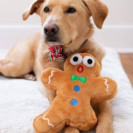 Huxley & Kent - Ginger Snapped For Dogs: Jumbo