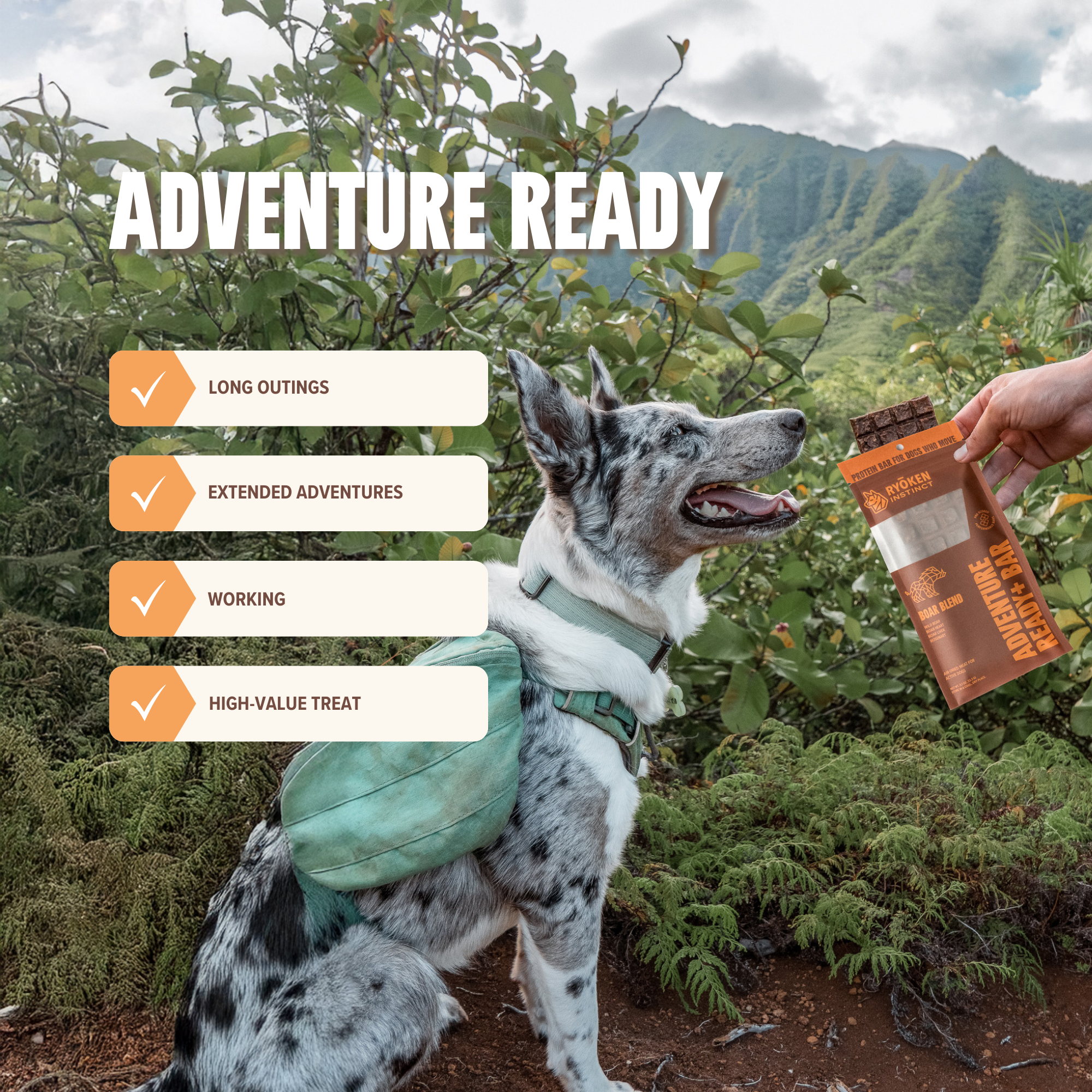 RYŌKEN INSTINCT - Boar Treat & Snack Bar for Active Dogs - Energy & Recovery