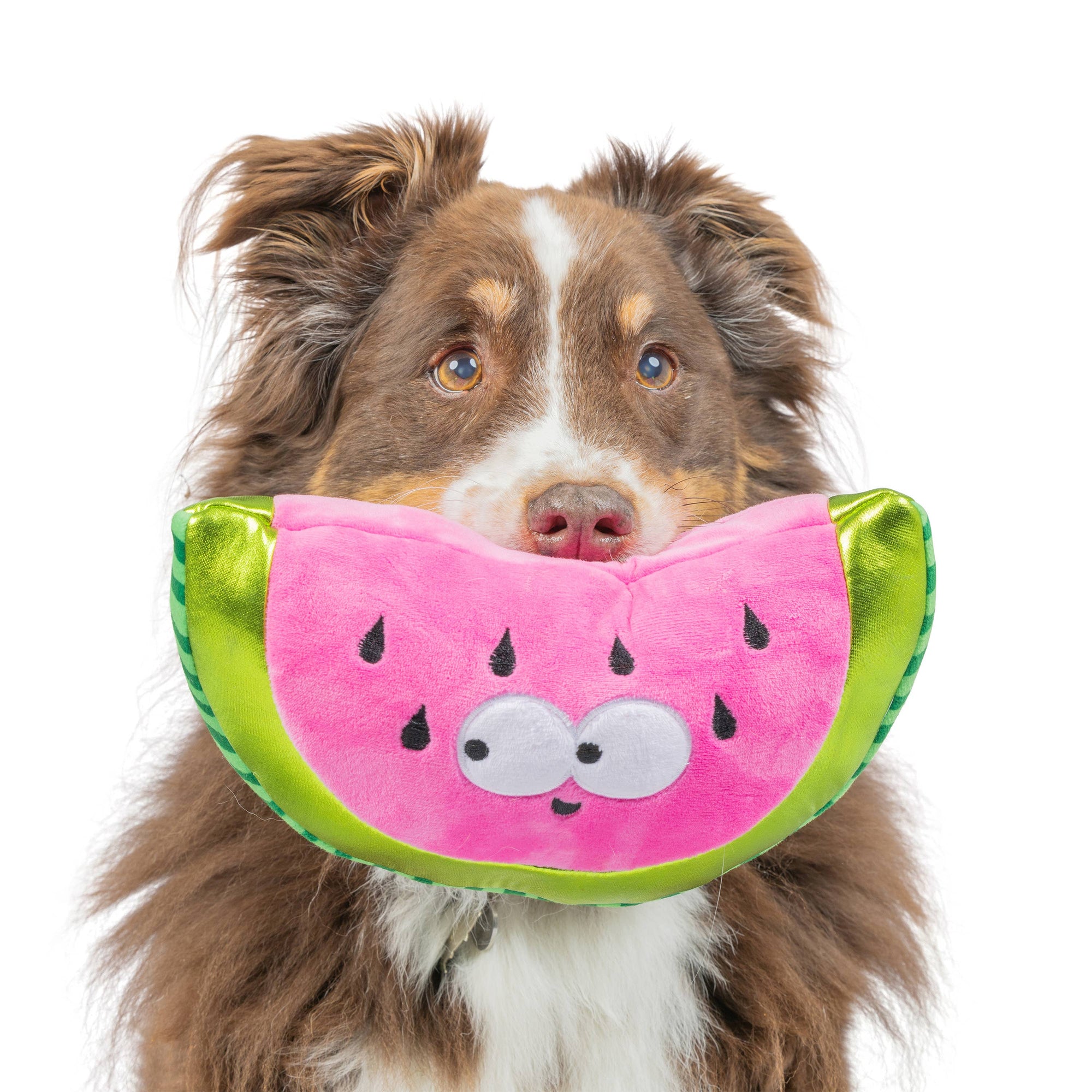 Huxley & Kent - Fetchies® Walter Melon Dog Toy: Large