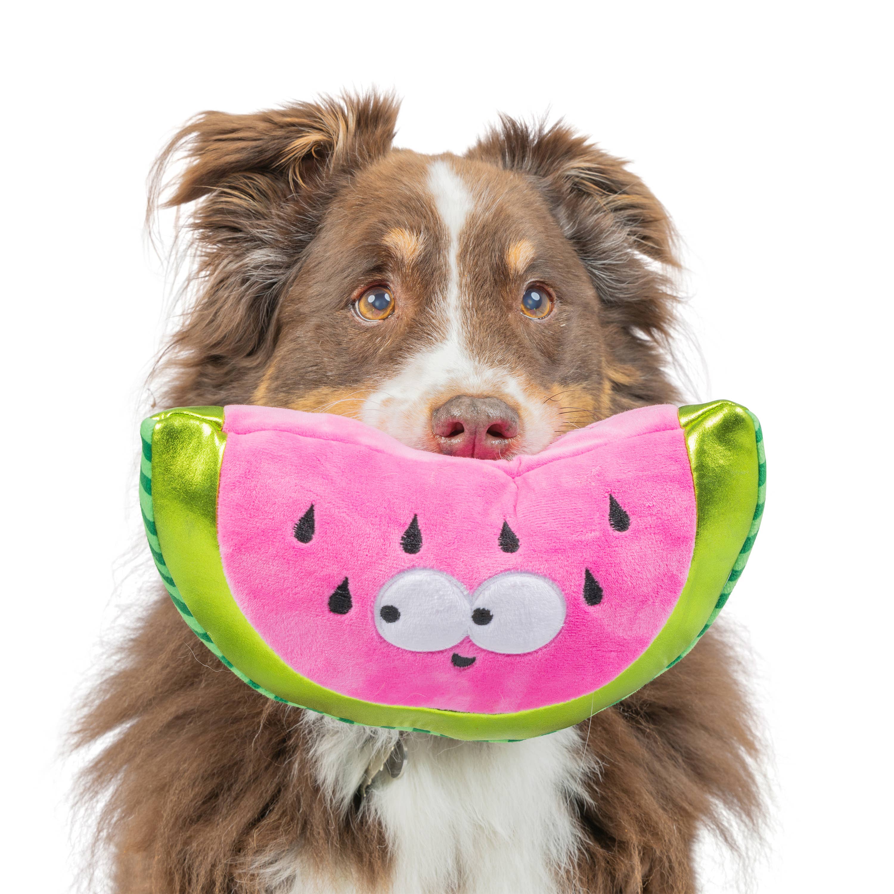 Huxley & Kent - Fetchies® Walter Melon Dog Toy: Large