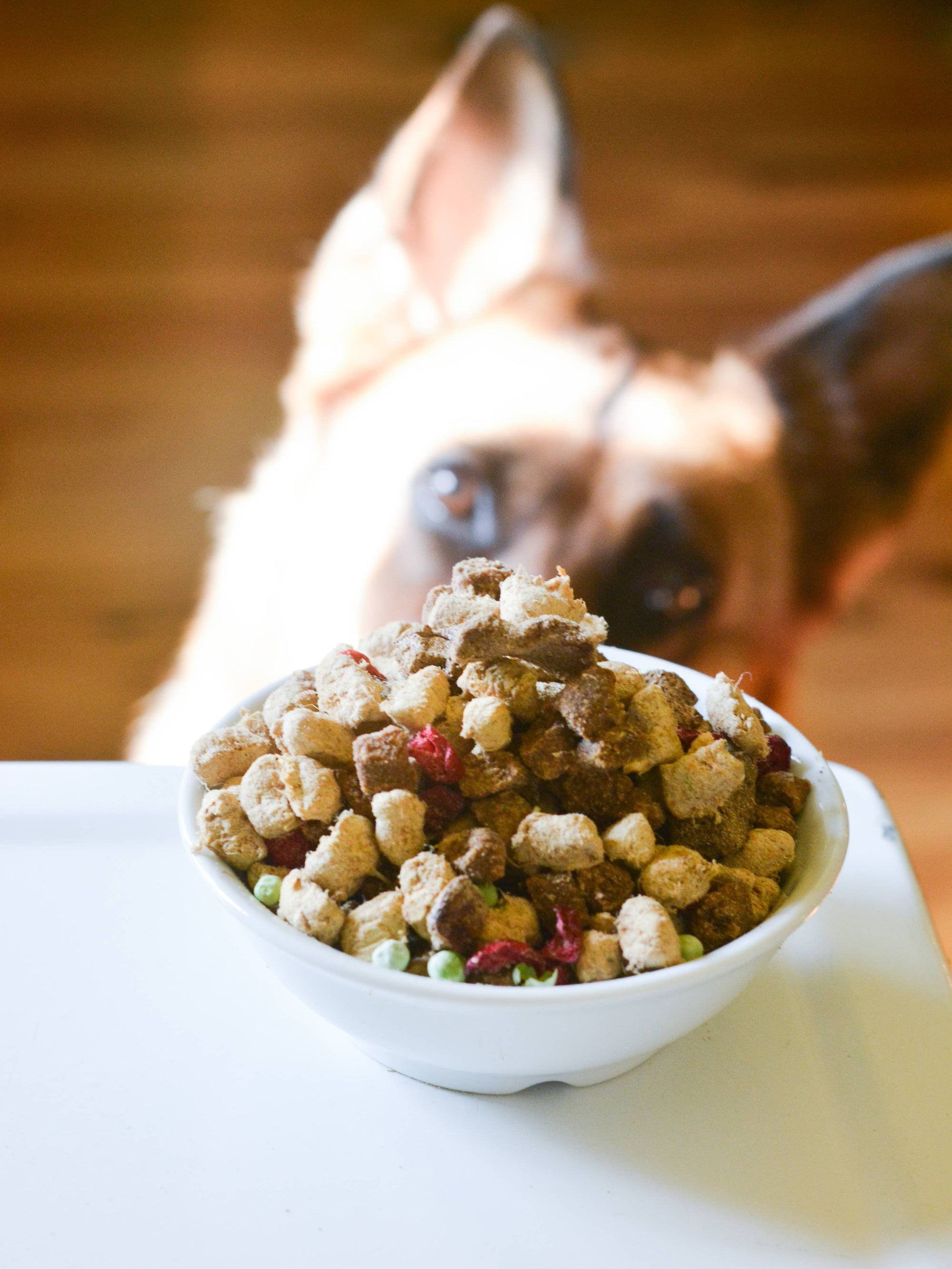 The Simple Food Project- Beef & Salmon Recipe for Dogs: Original Nuggets (6-lb)