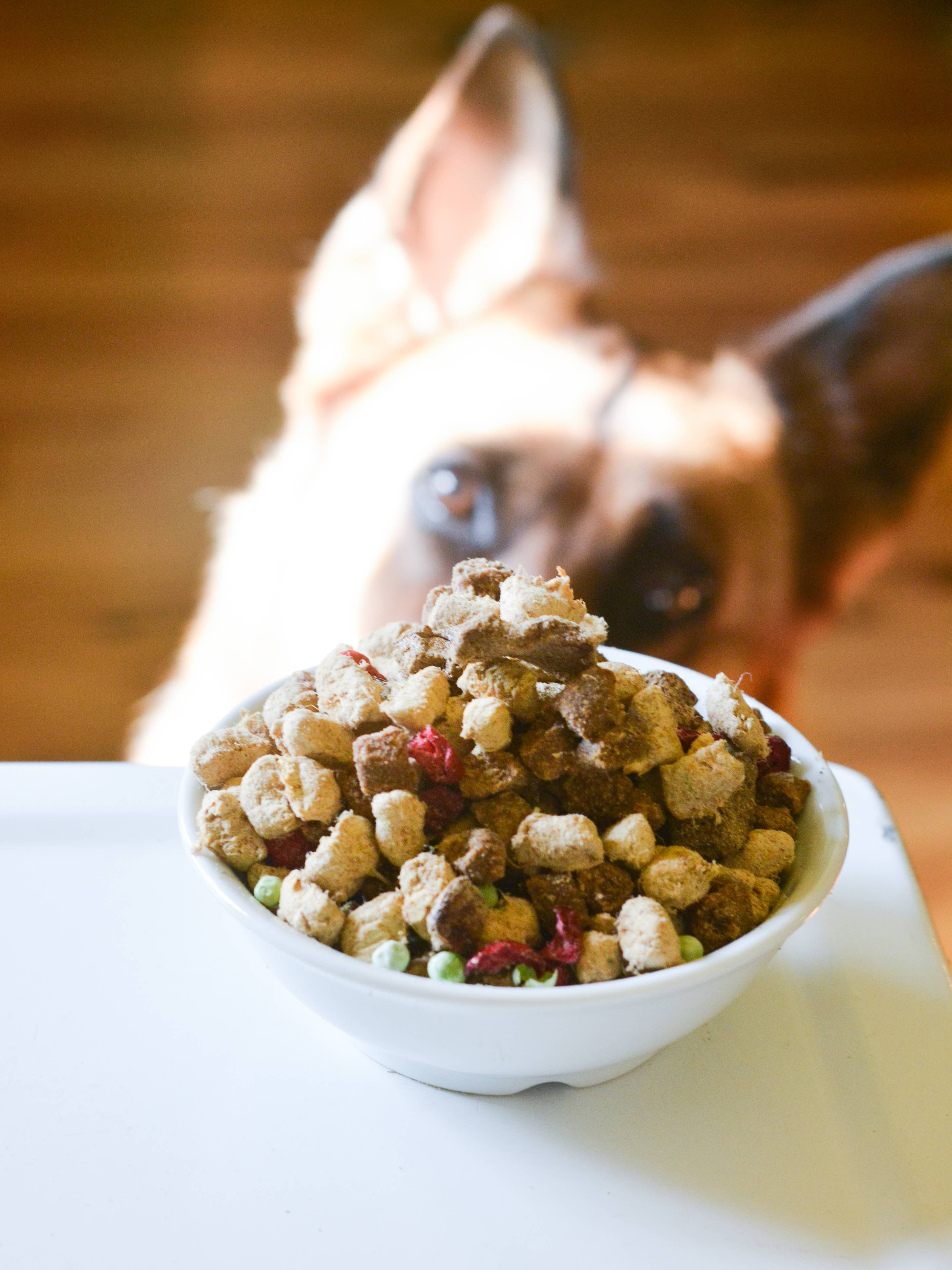 The Simple Food Project- Beef & Salmon Recipe for Dogs: Original Nuggets (6-lb)