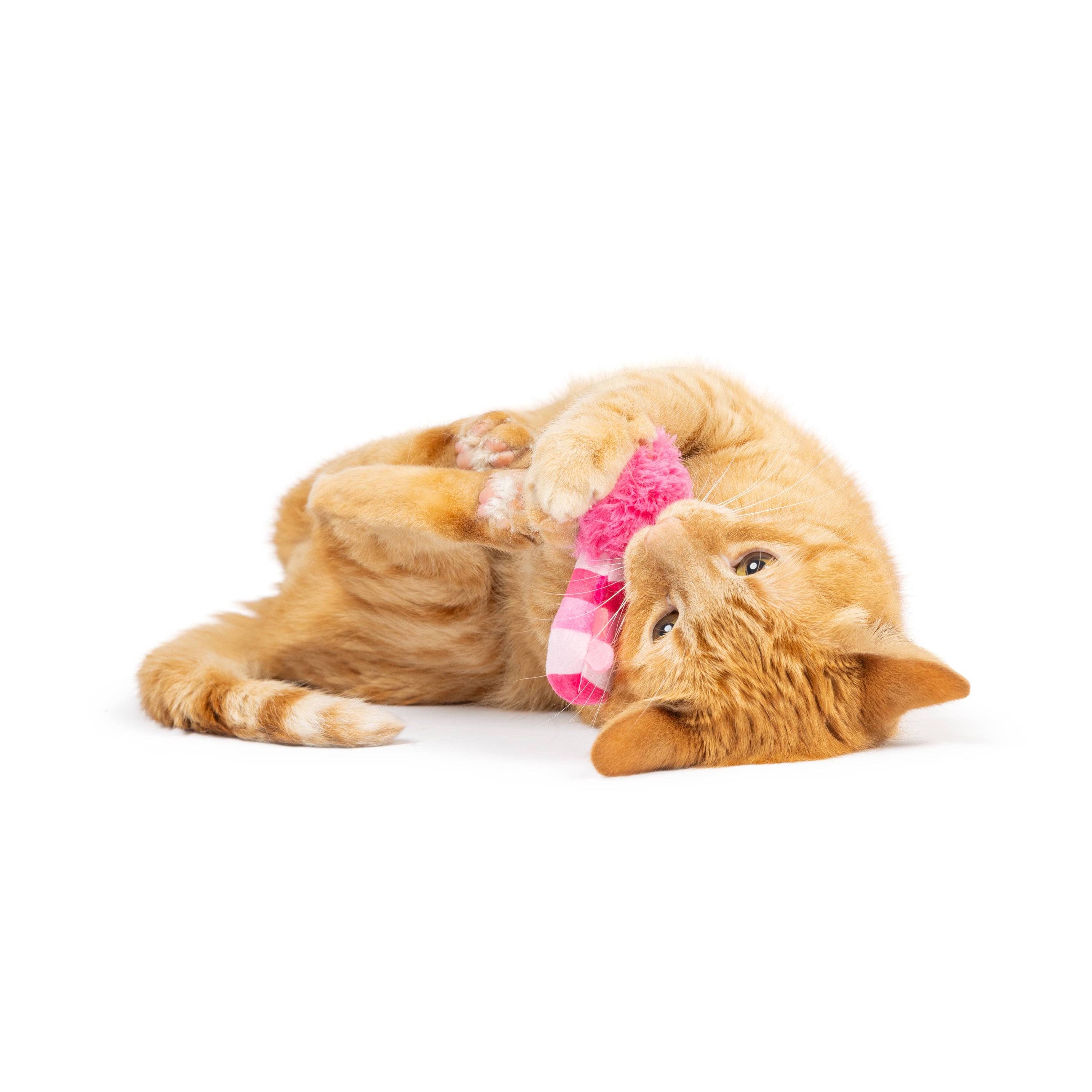 Huxley & Kent - Love Bugs 2pk Cat Toy: One Size