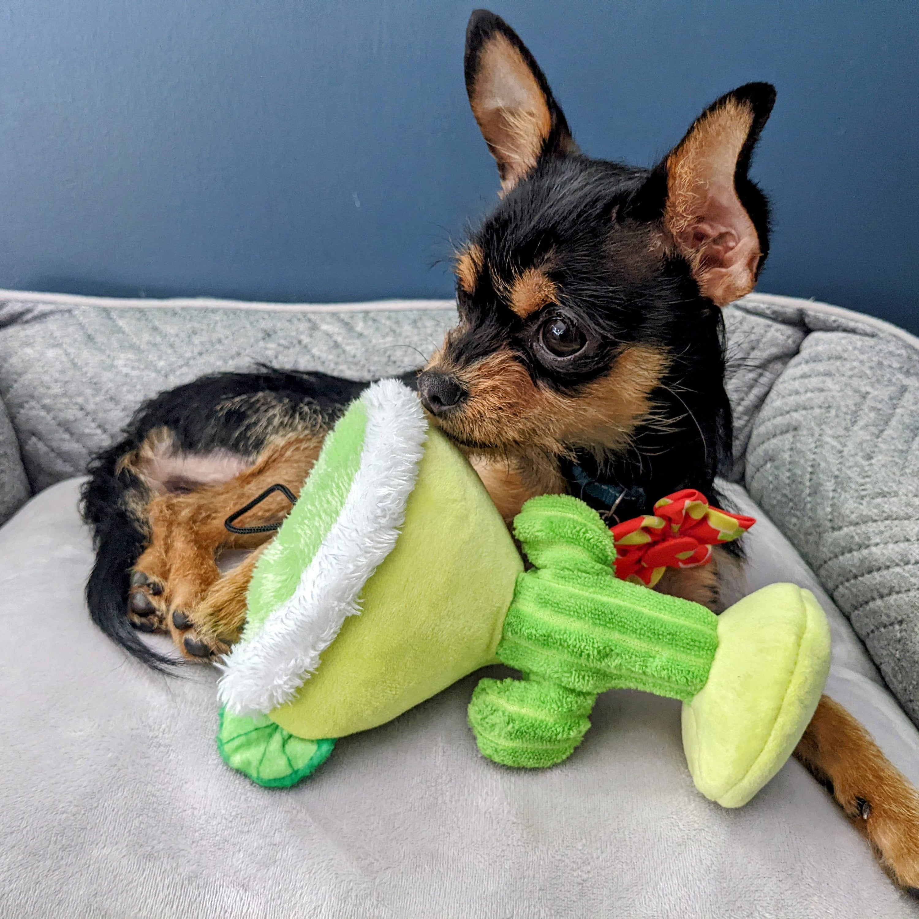 Huxley & Kent - Margarita Loco Dog Toy