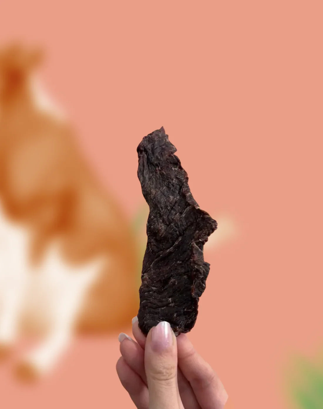 Wulf Snacks Beef Jerky