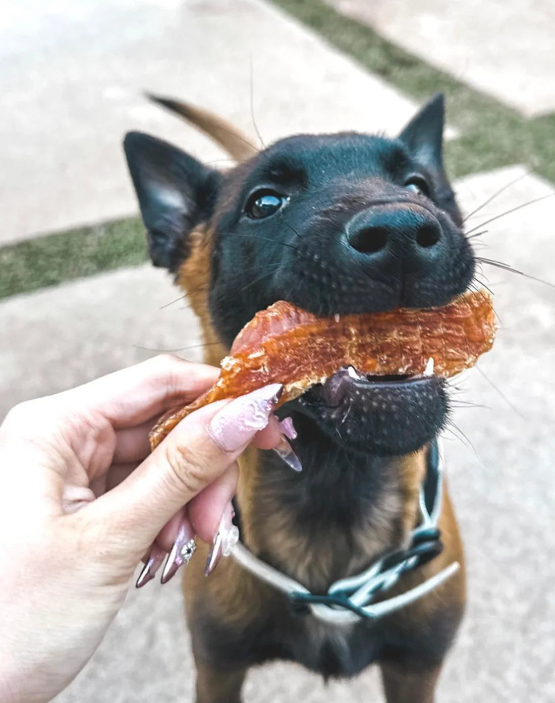 Wulf Snacks Chicken Tenders