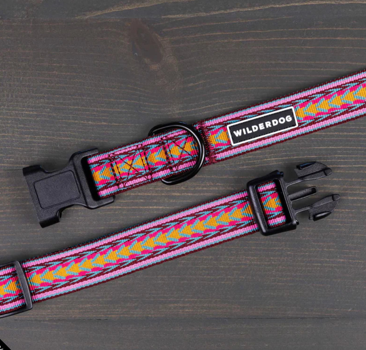 Wilderdog- Daybreak Ultralight Collar