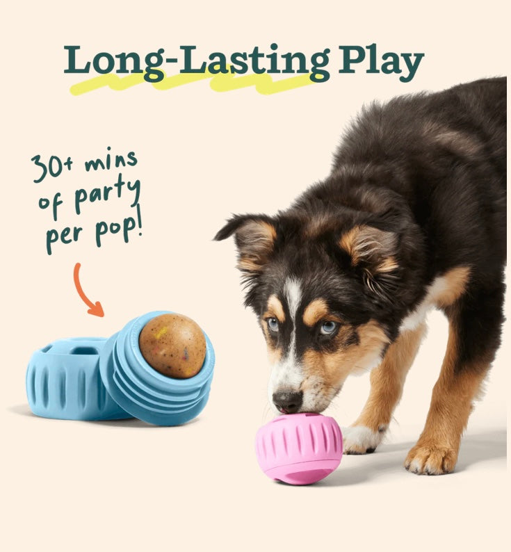 WOOF Pupsicle Pops- Birthday