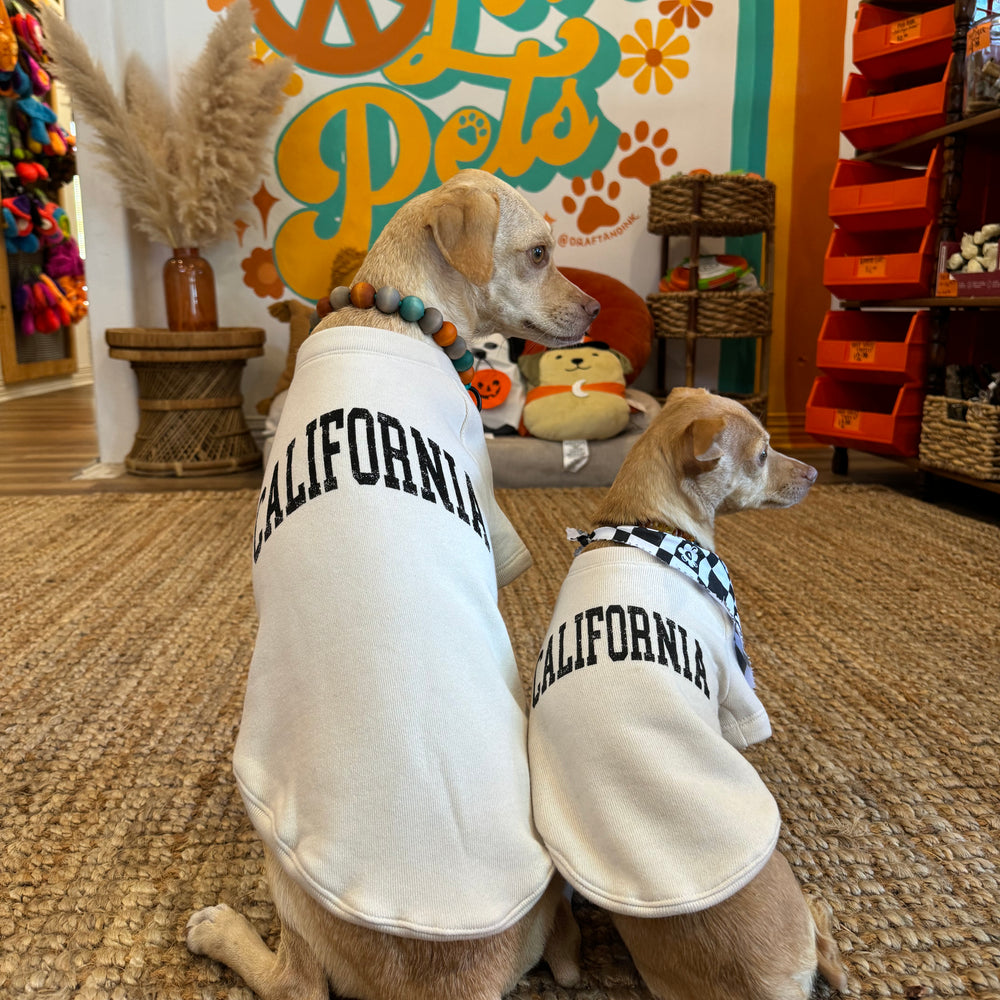 California Dog Sweatshirt