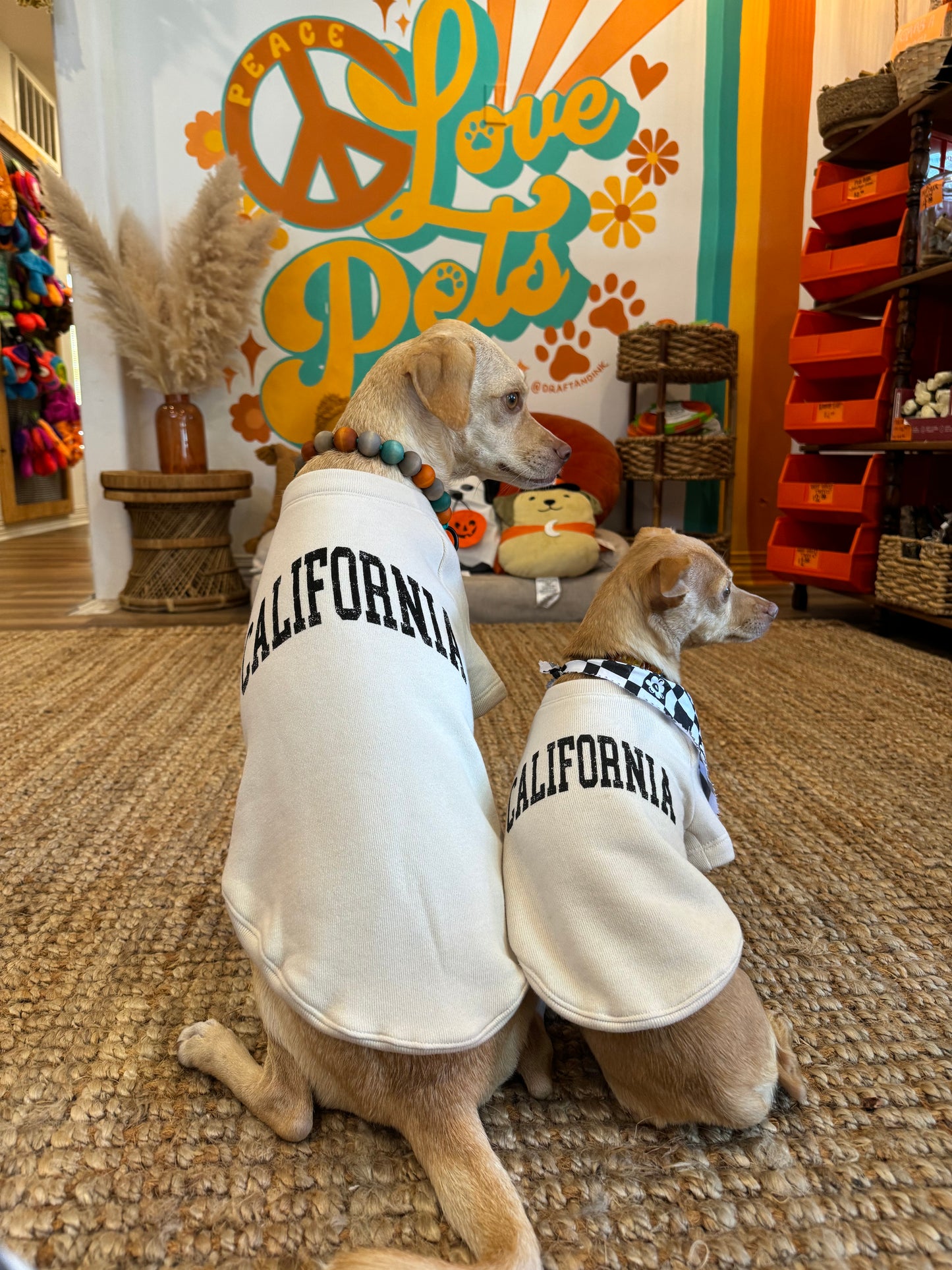 California Dog Sweatshirt