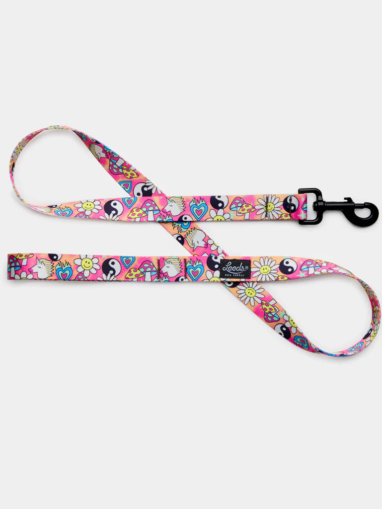 Leeds Dog Supply - Lucky Collar Leash