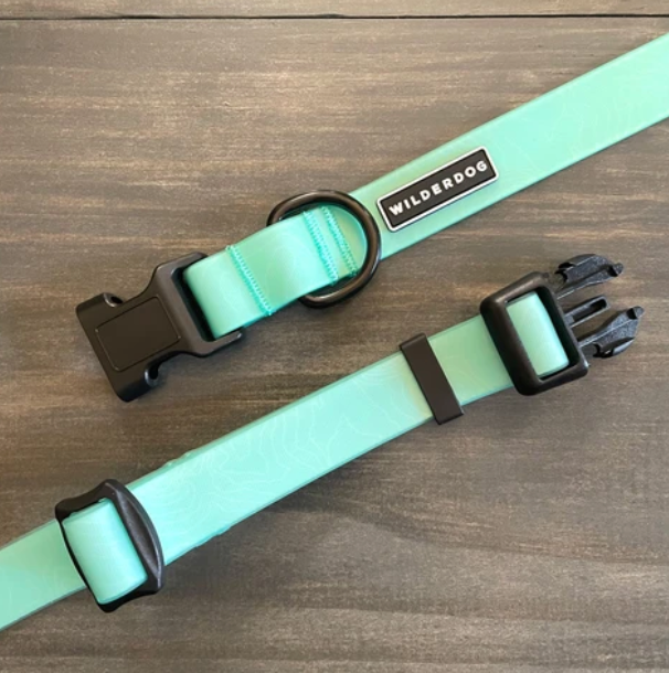 Wilderdog Waterproof Seafoam Collar