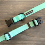 Wilderdog Waterproof Seafoam Collar