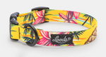 Leeds Dog Supply - Luau Collar