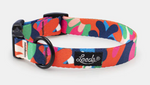 Leeds Dog Supply - Jane Collar