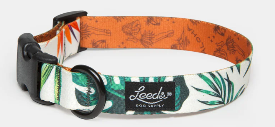 Leeds Dog Supply - The Tropicana Collar