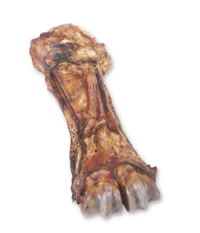 
                      
                        Beef Whole Shin Bone "Chew Bar"
                      
                    