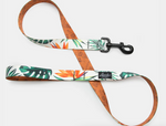 Leeds Dog Supply - Tropicana Leash 6ft